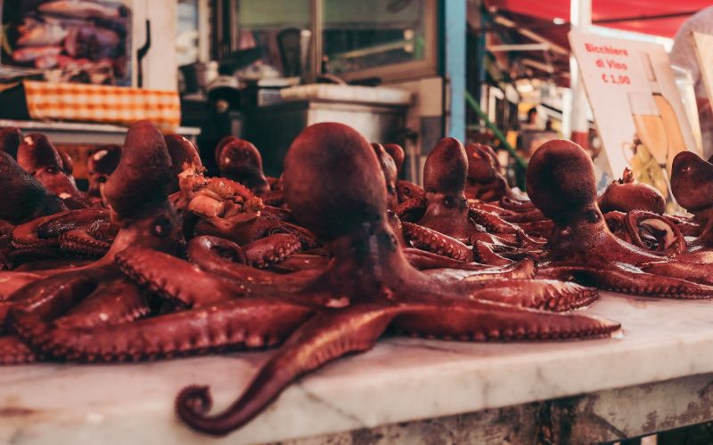 Nutritional Benefits of Octopus Best Nutritional Benefits of Octopus: A Superfood from the Sea